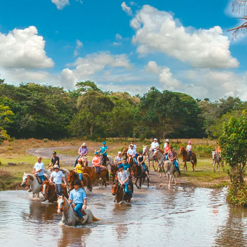 Llanos orientales