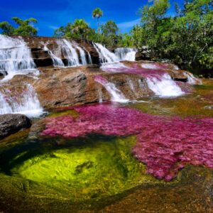 Caño cristales