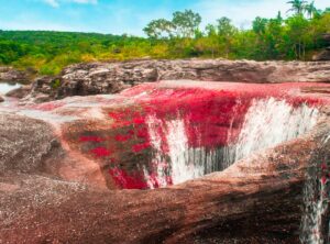 cano-cristales1