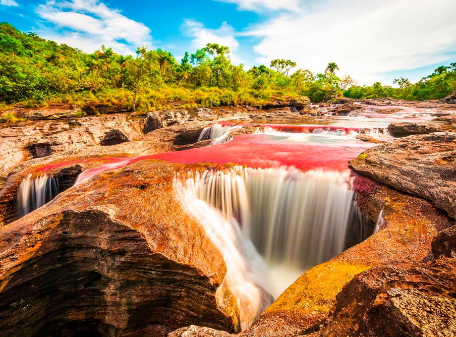 cano-cristales2