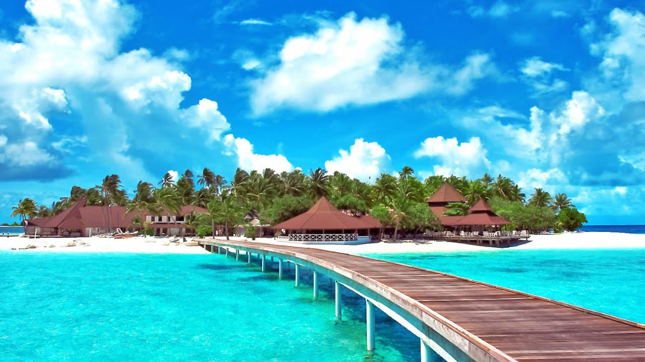 sanandres8