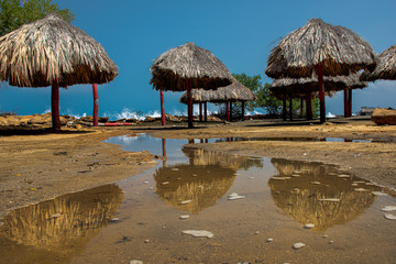 tolucoveñas