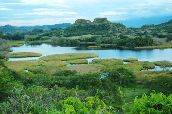 tolima1